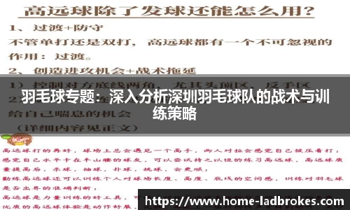 羽毛球专题：深入分析深圳羽毛球队的战术与训练策略